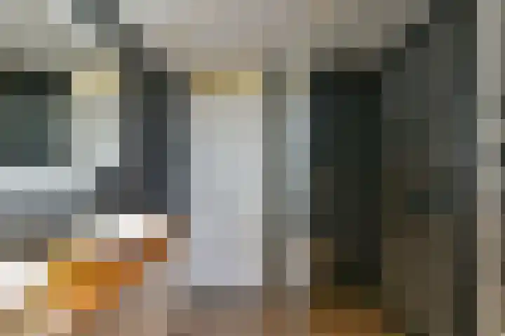 Breeuwer 89 Hoorn thumbnail 18