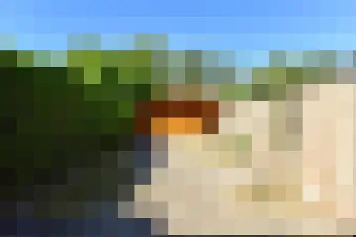 Breeuwer 89 Hoorn thumbnail 23
