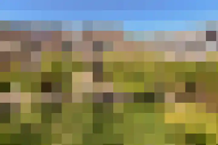 Breeuwer 89 Hoorn thumbnail 27