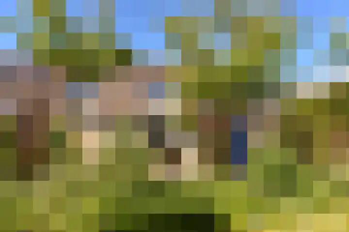 Breeuwer 89 Hoorn thumbnail 29