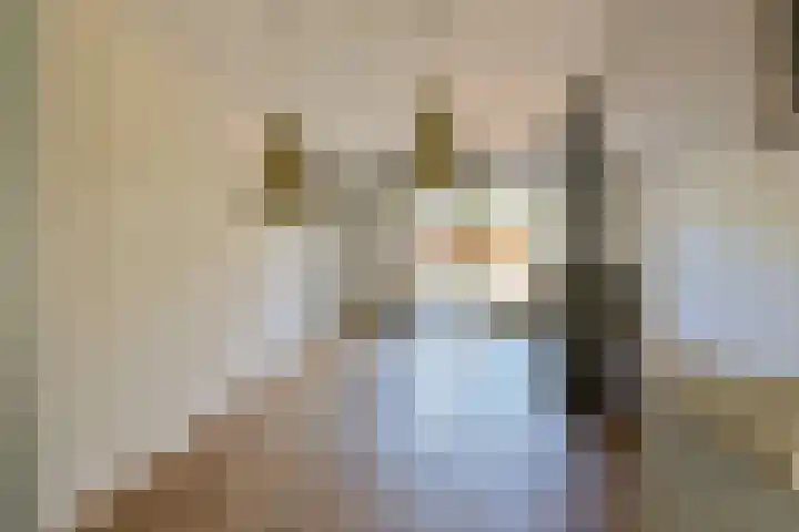 Breeuwer 89 Hoorn thumbnail 7