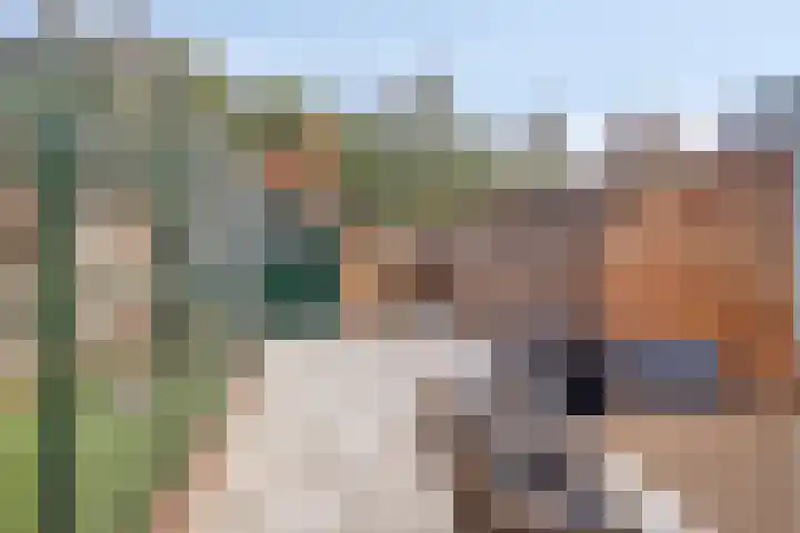 Breeuwershoeve 138 Apeldoorn thumbnail 13