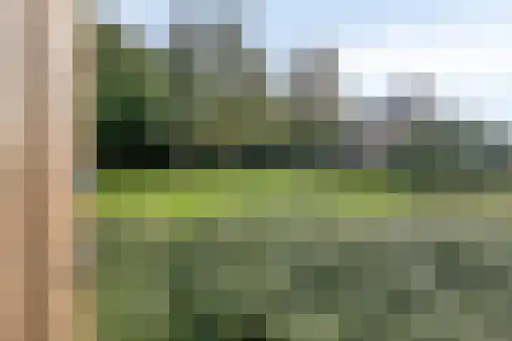 Breeuwershoeve 138 Apeldoorn thumbnail 15