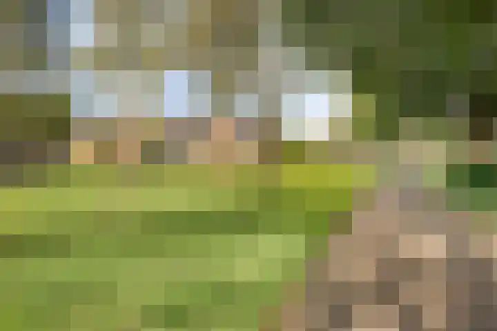 Breeuwershoeve 138 Apeldoorn thumbnail 27