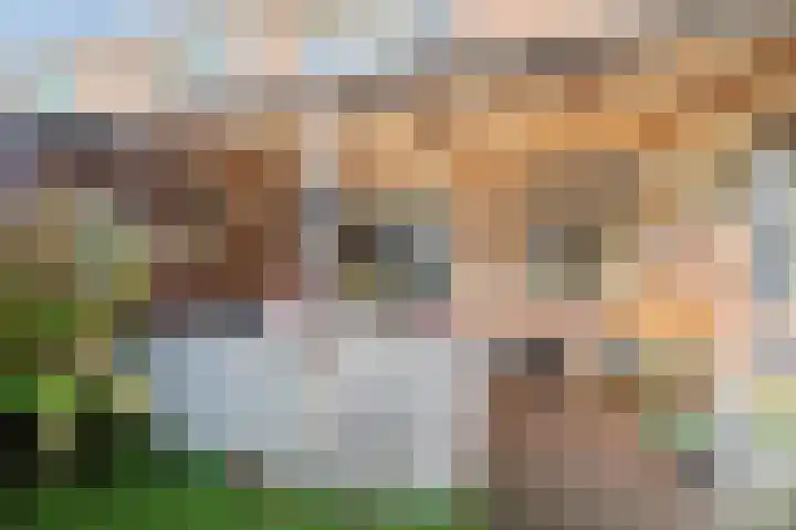 Breeuwerstraat 13 Dronten thumbnail 28