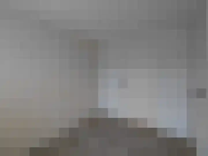 Breeuwerstraat 16 Dronten thumbnail 15