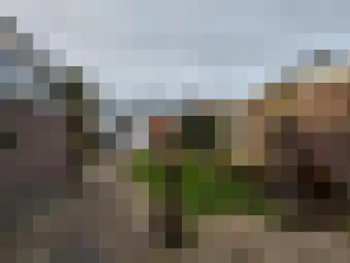 Breeuwerstraat 16 Dronten thumbnail 21