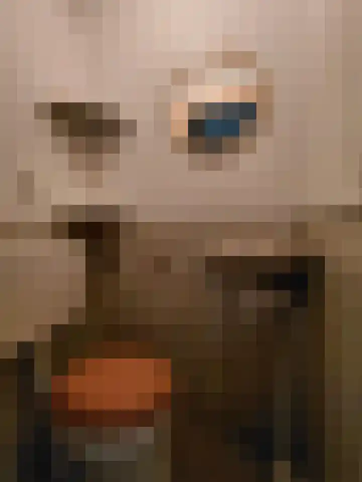 Breeuwerstraat 16 Dronten thumbnail 4