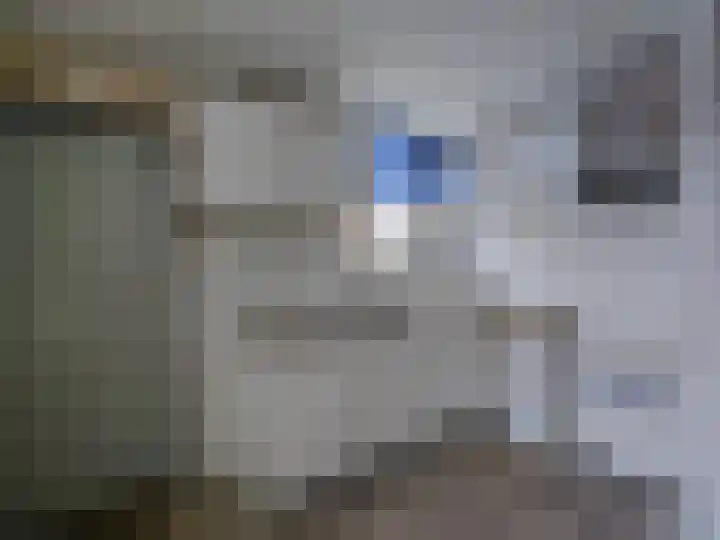 Breeuwerstraat 16 Dronten thumbnail 6