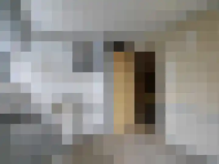 Breeuwerstraat 16 Dronten thumbnail 7