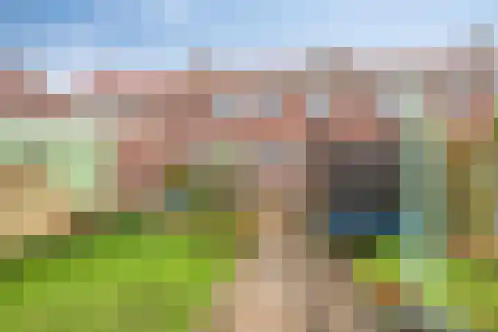 Breeuwerstraat 20 Dronten thumbnail 30