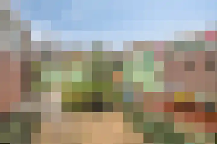 Breeuwerstraat 20 Dronten thumbnail 32