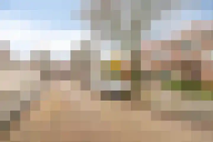 Breeuwerstraat 20 Dronten thumbnail 36