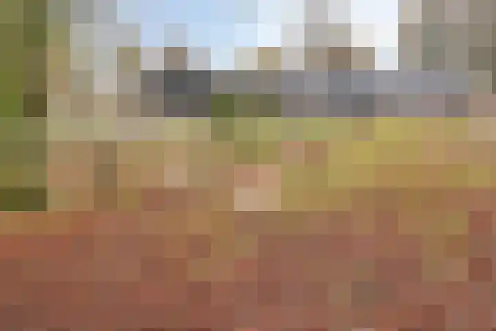 Breeuwerstraat 20 Dronten thumbnail 37