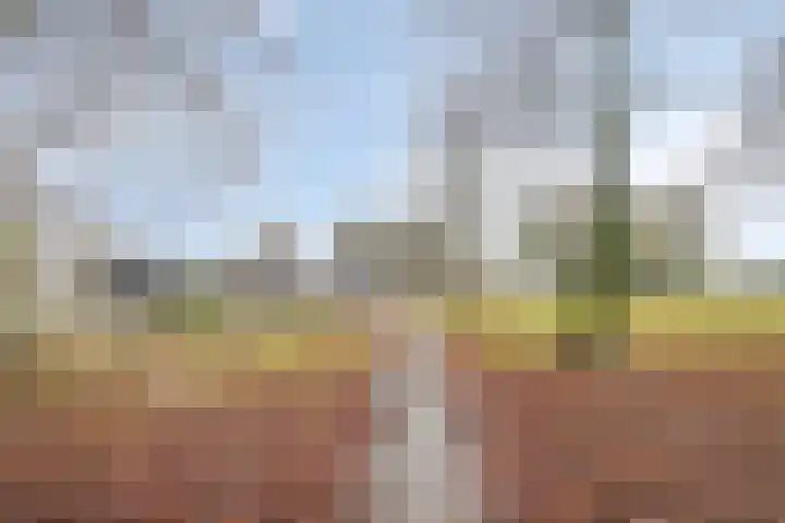 Breeuwerstraat 20 Dronten thumbnail 38