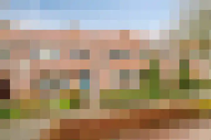 Breeuwerstraat 20 Dronten thumbnail 5