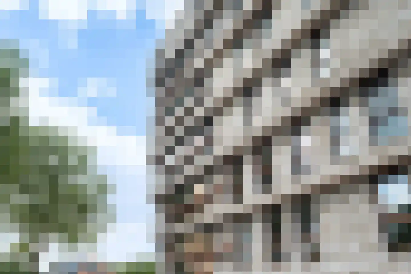 Breevaarthoek 39 Gouda thumbnail 6