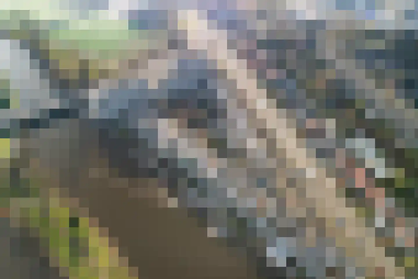 Breevaarthoek 39 Gouda thumbnail 6