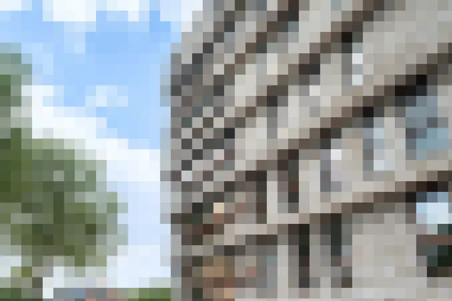 Breevaarthoek 39 Gouda thumbnail 7