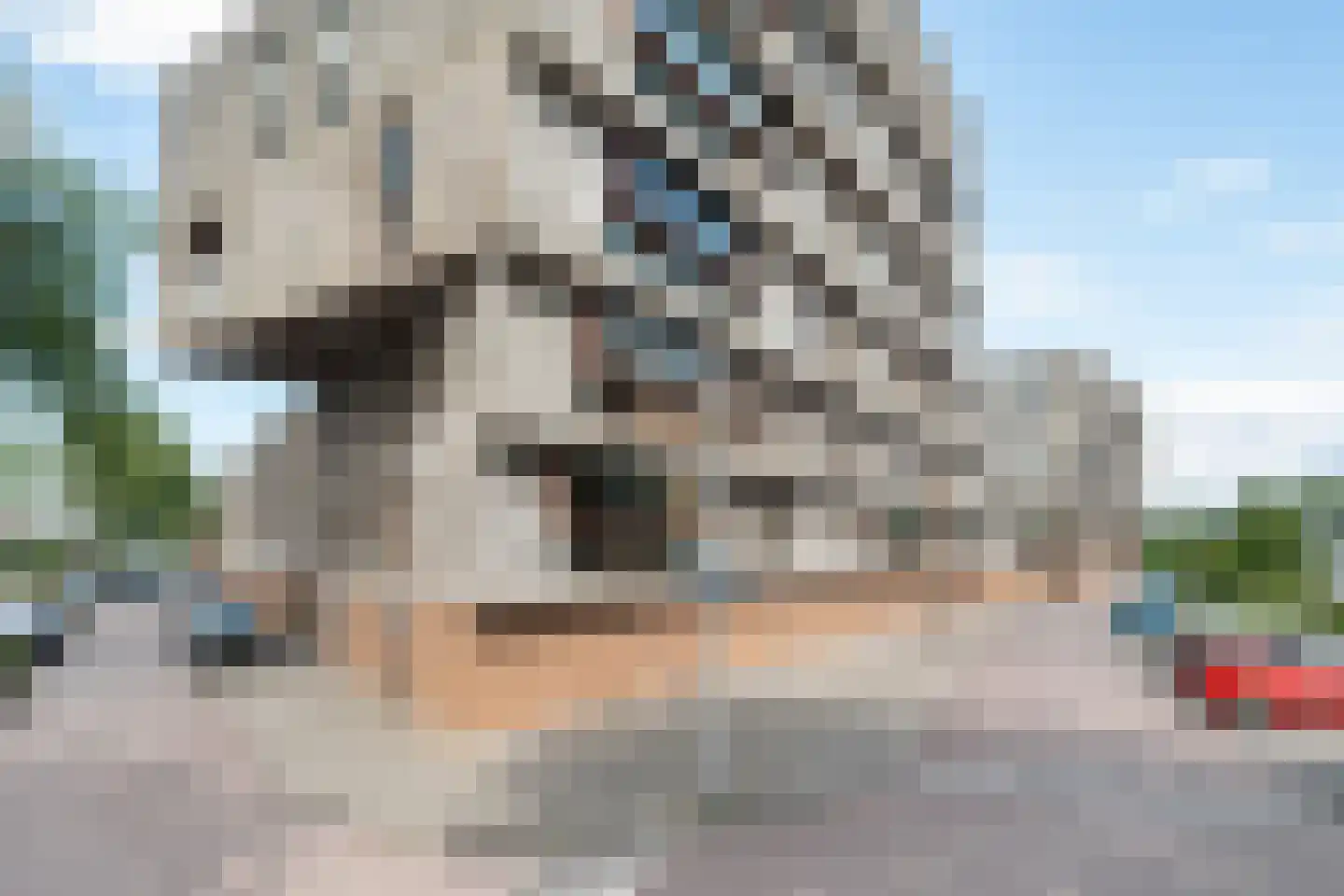 Breevaarthoek 39 Gouda thumbnail 9