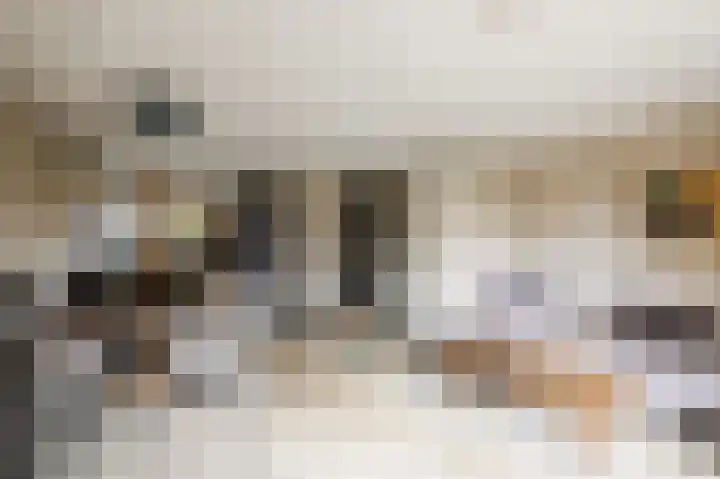 Breeveen 25 Ede thumbnail 11