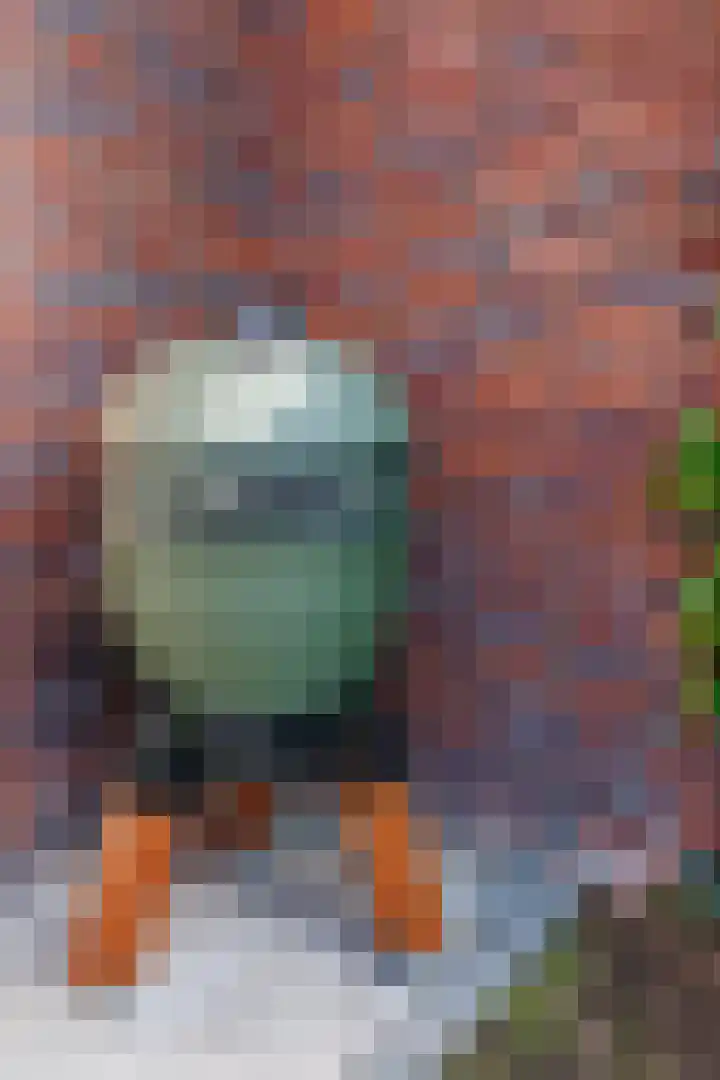 Breeveen 25 Ede thumbnail 33