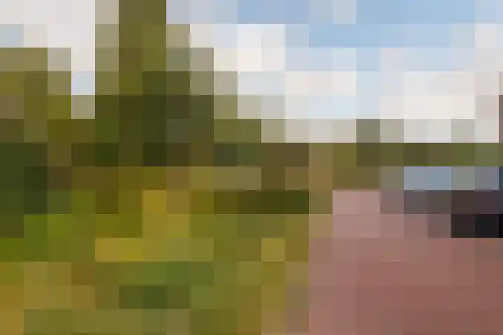 Breeveen 25 Ede thumbnail 37