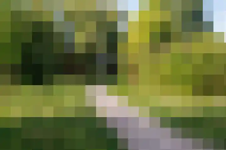 Breeveen 25 Ede thumbnail 38