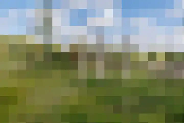 Breeveen 25 Ede thumbnail 40