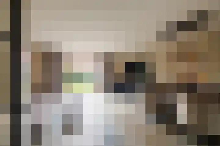 Breeveen 25 Ede thumbnail 8