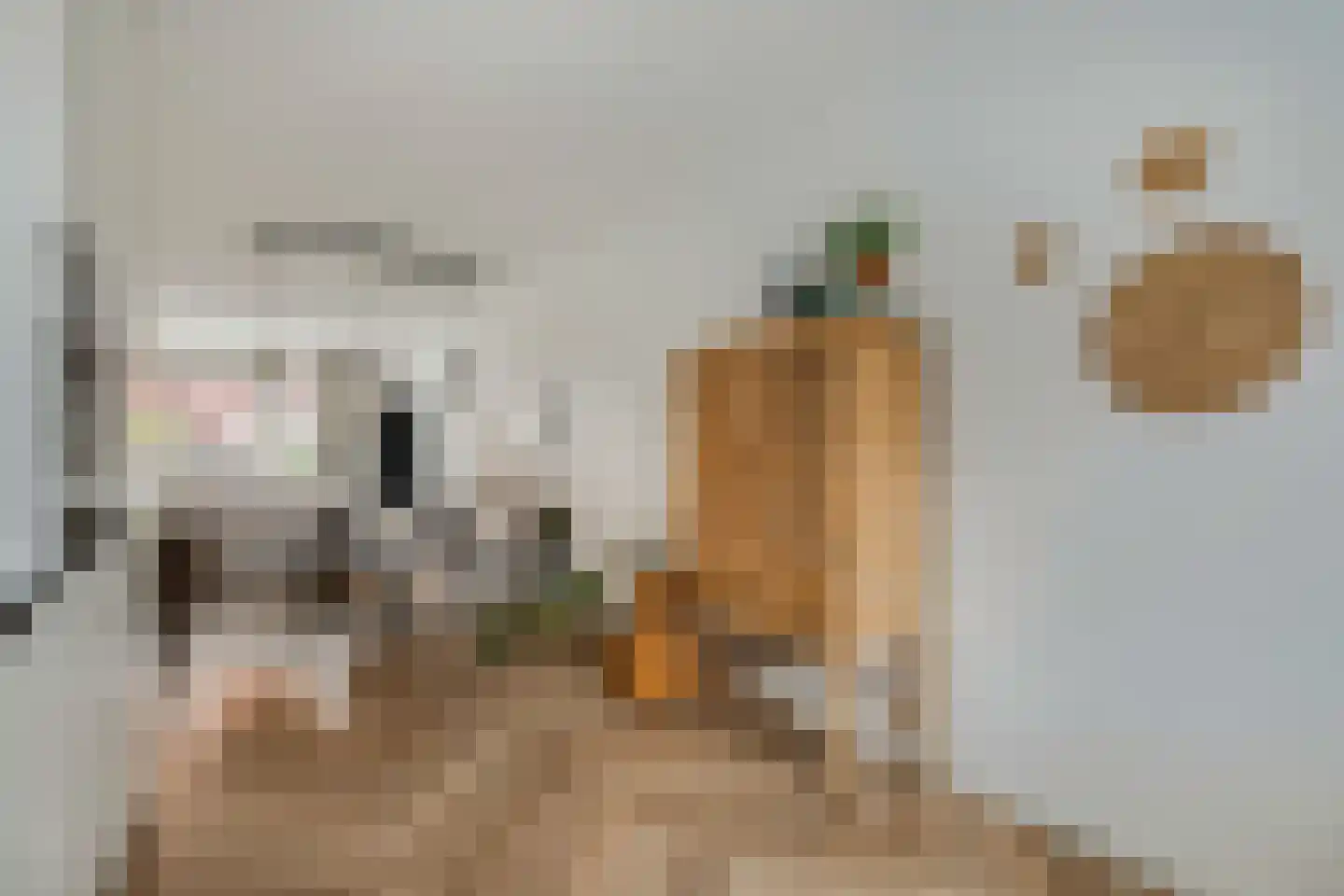 Breeveen 7 Ede thumbnail 13