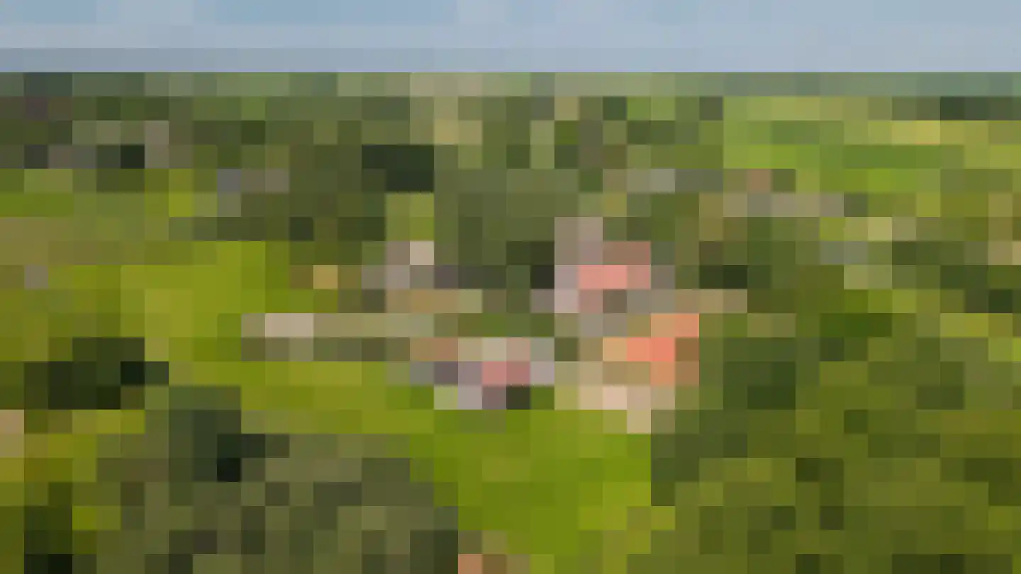 Breeveld 18 Woerden thumbnail 10
