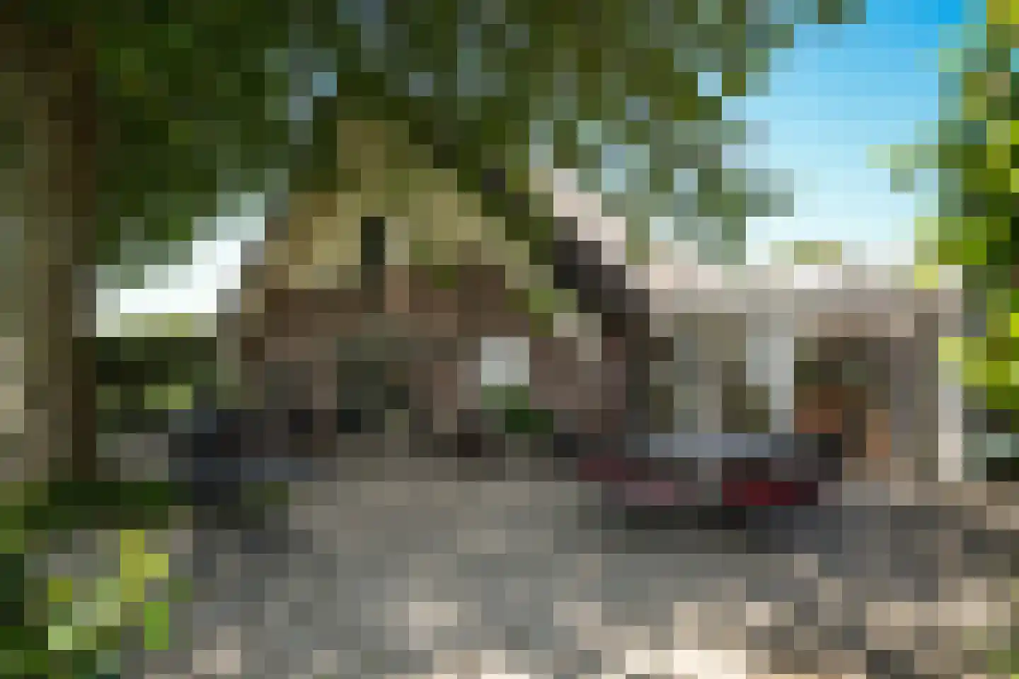 Breeveld 18 Woerden thumbnail 64