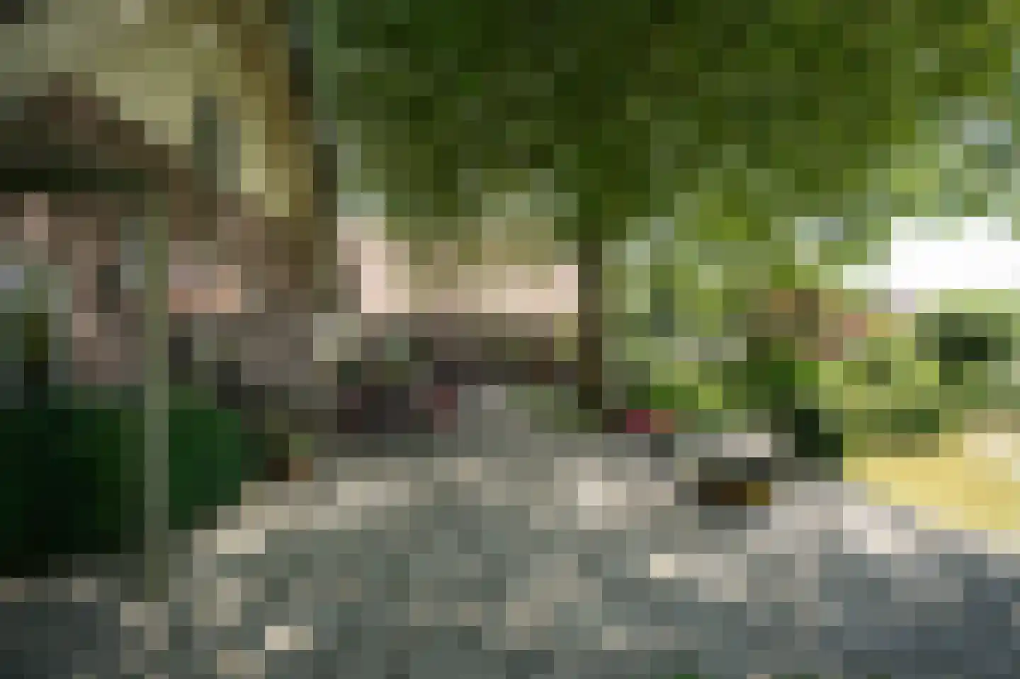 Breeveld 18 Woerden thumbnail 66