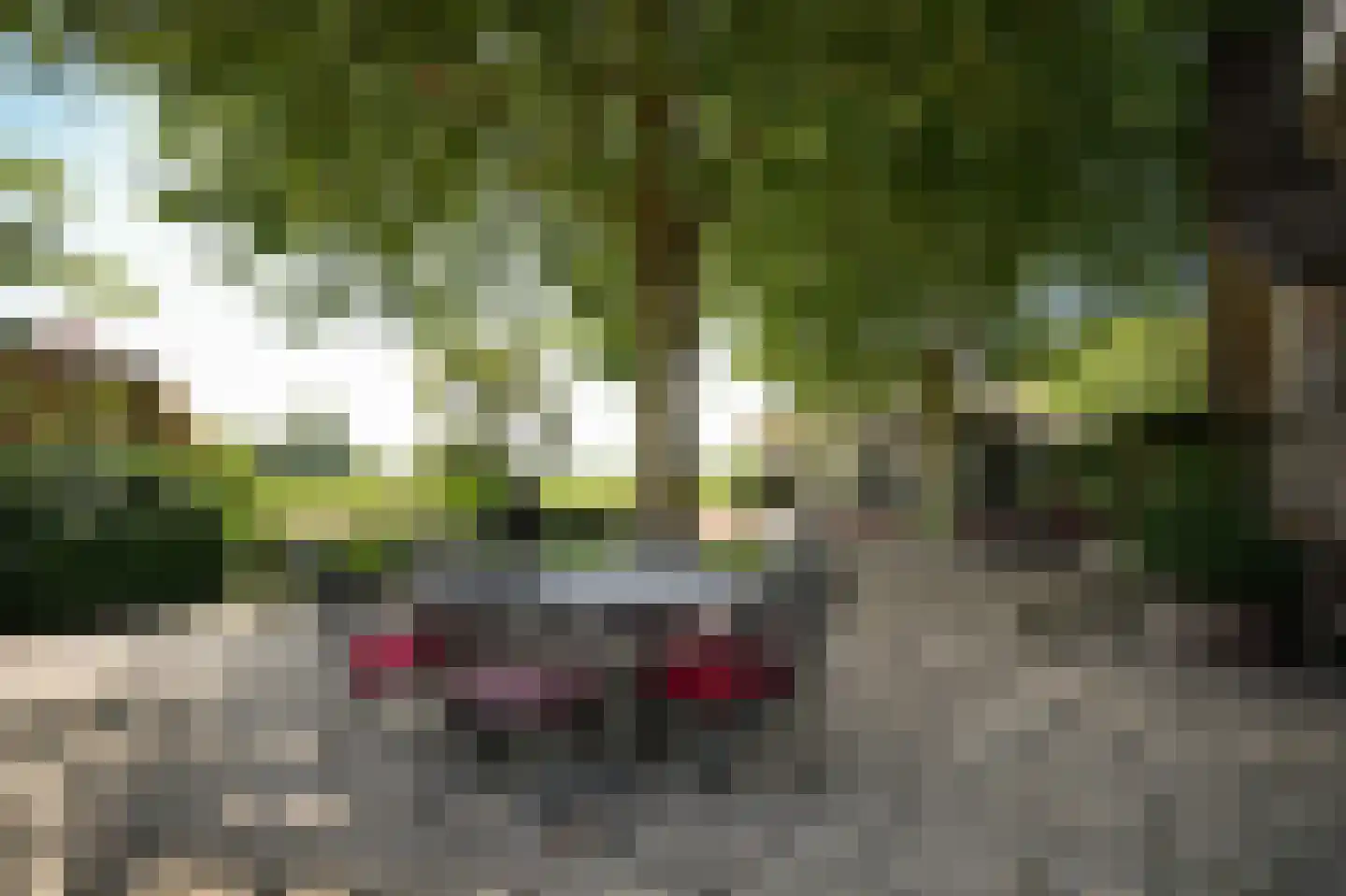 Breeveld 18 Woerden thumbnail 68