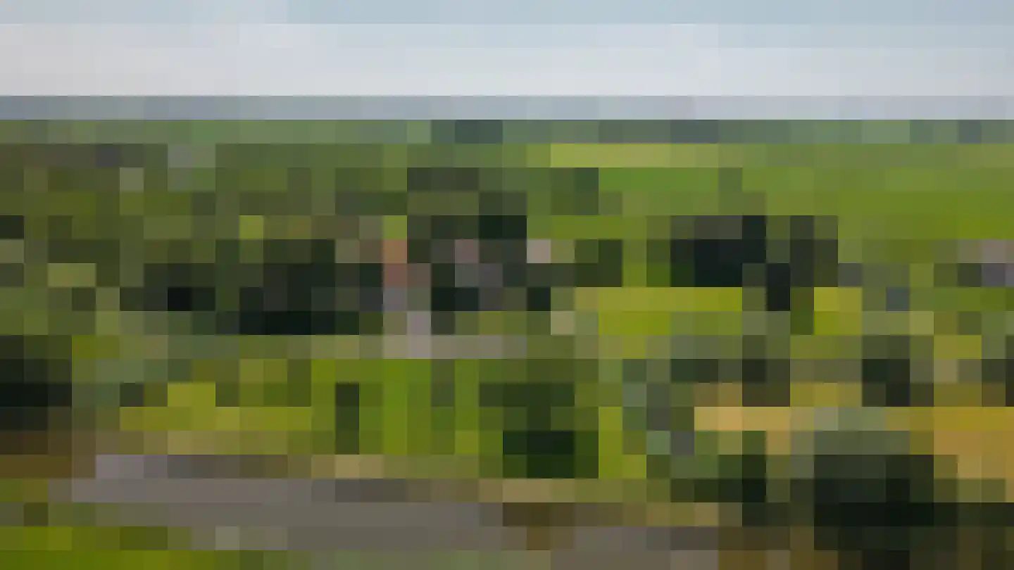 Breeveld 18 Woerden thumbnail 84