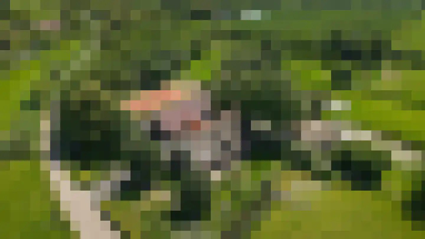 Breeveld 18 Woerden thumbnail 9