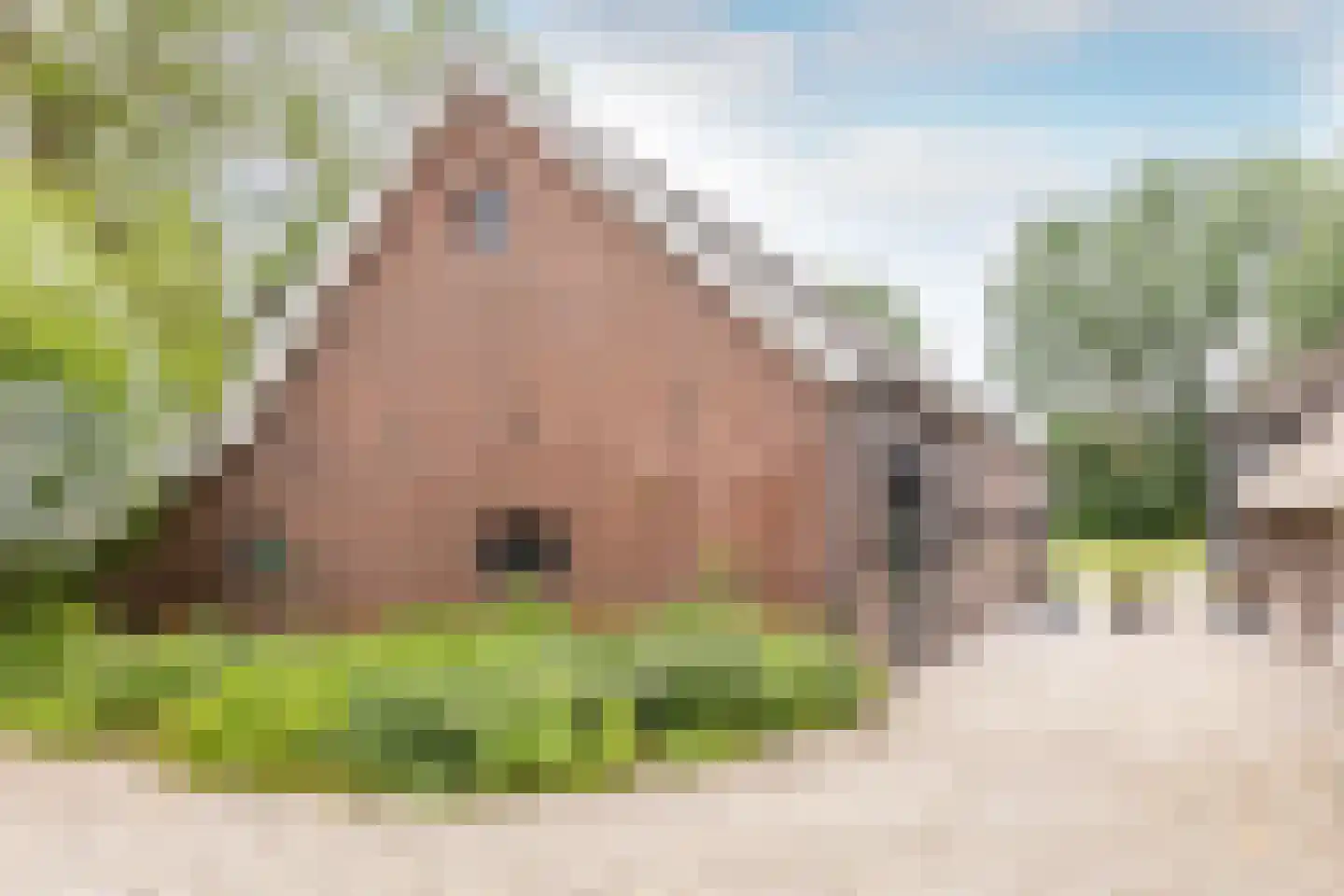 Breeveld 7 Woerden thumbnail 24