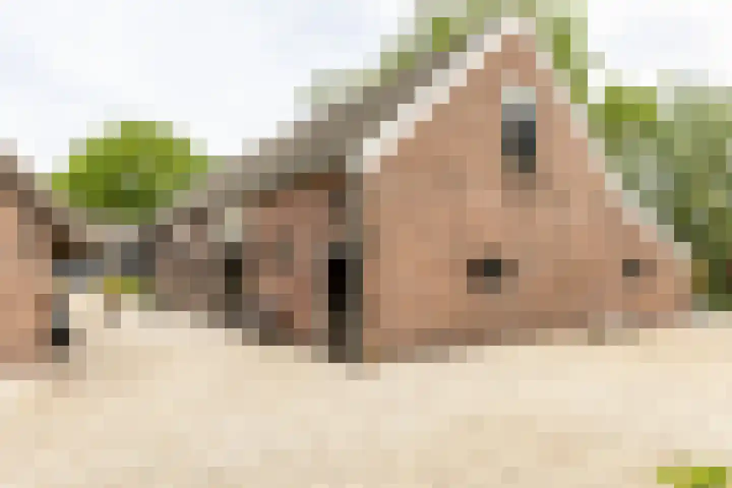 Breeveld 7 Woerden thumbnail 25