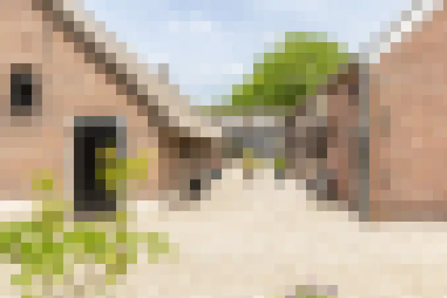 Breeveld 7 Woerden thumbnail 26