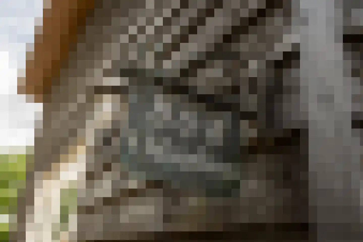 Breeveld 7 Woerden thumbnail 33