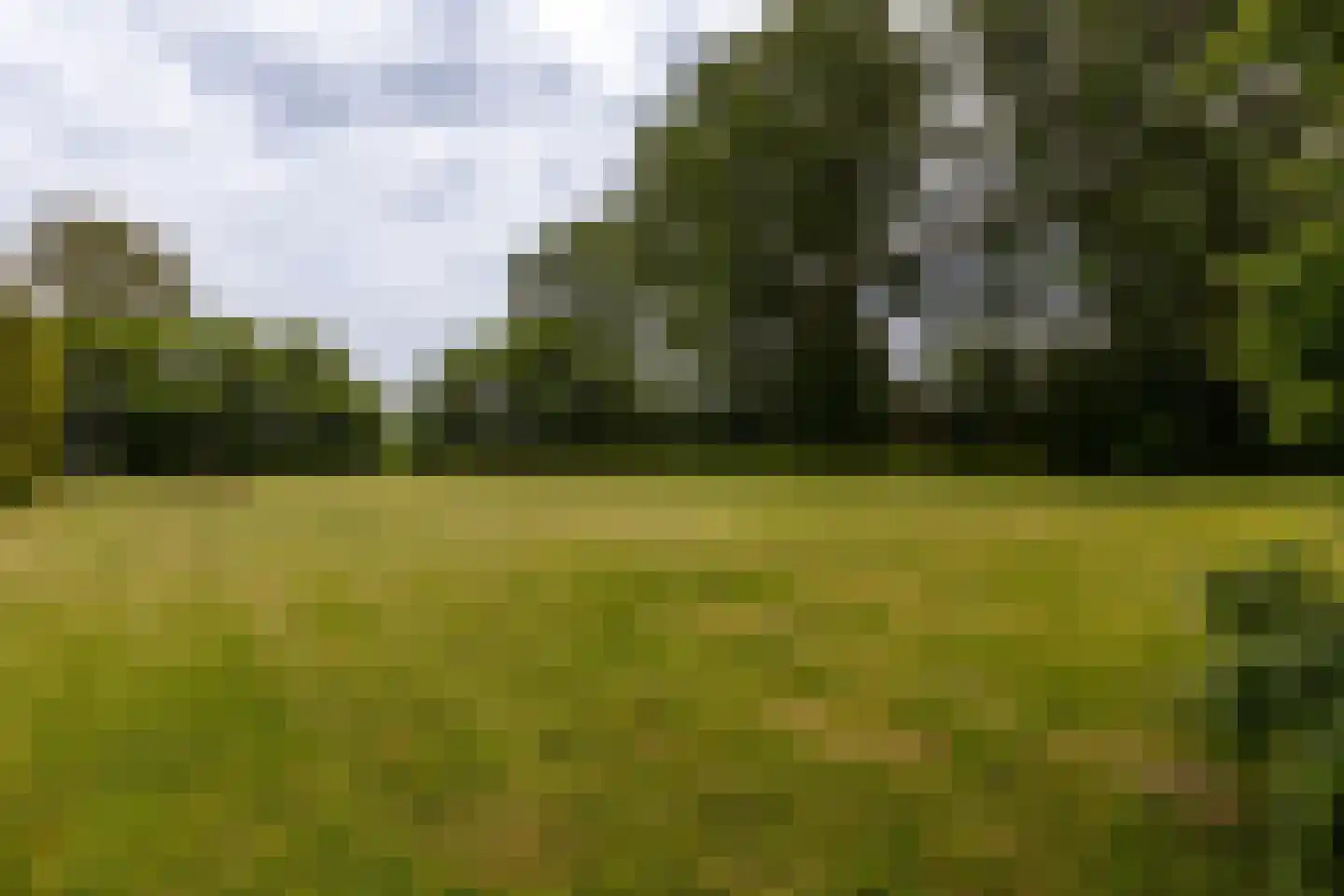 Breeveld 7 Woerden thumbnail 39