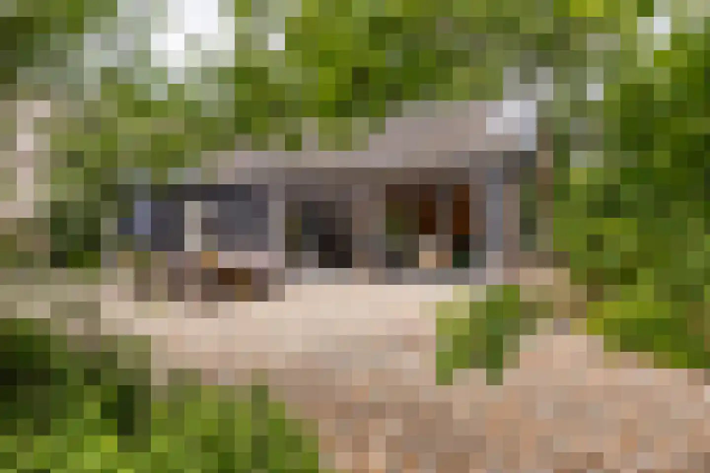 Breeveld 7 Woerden thumbnail 4