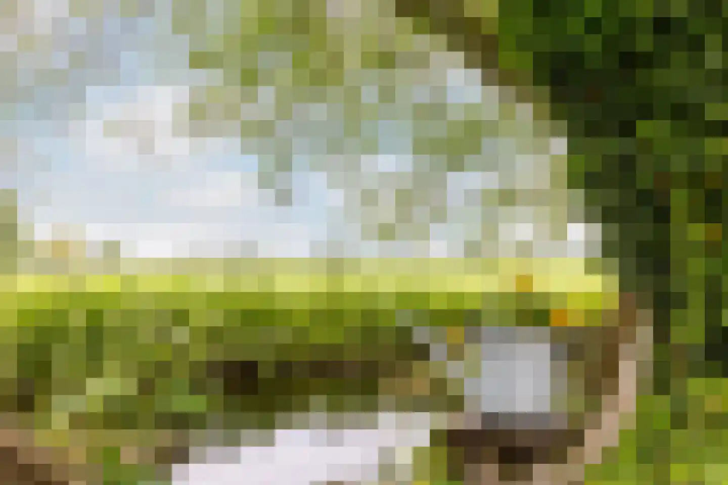 Breeveld 7 Woerden thumbnail 40