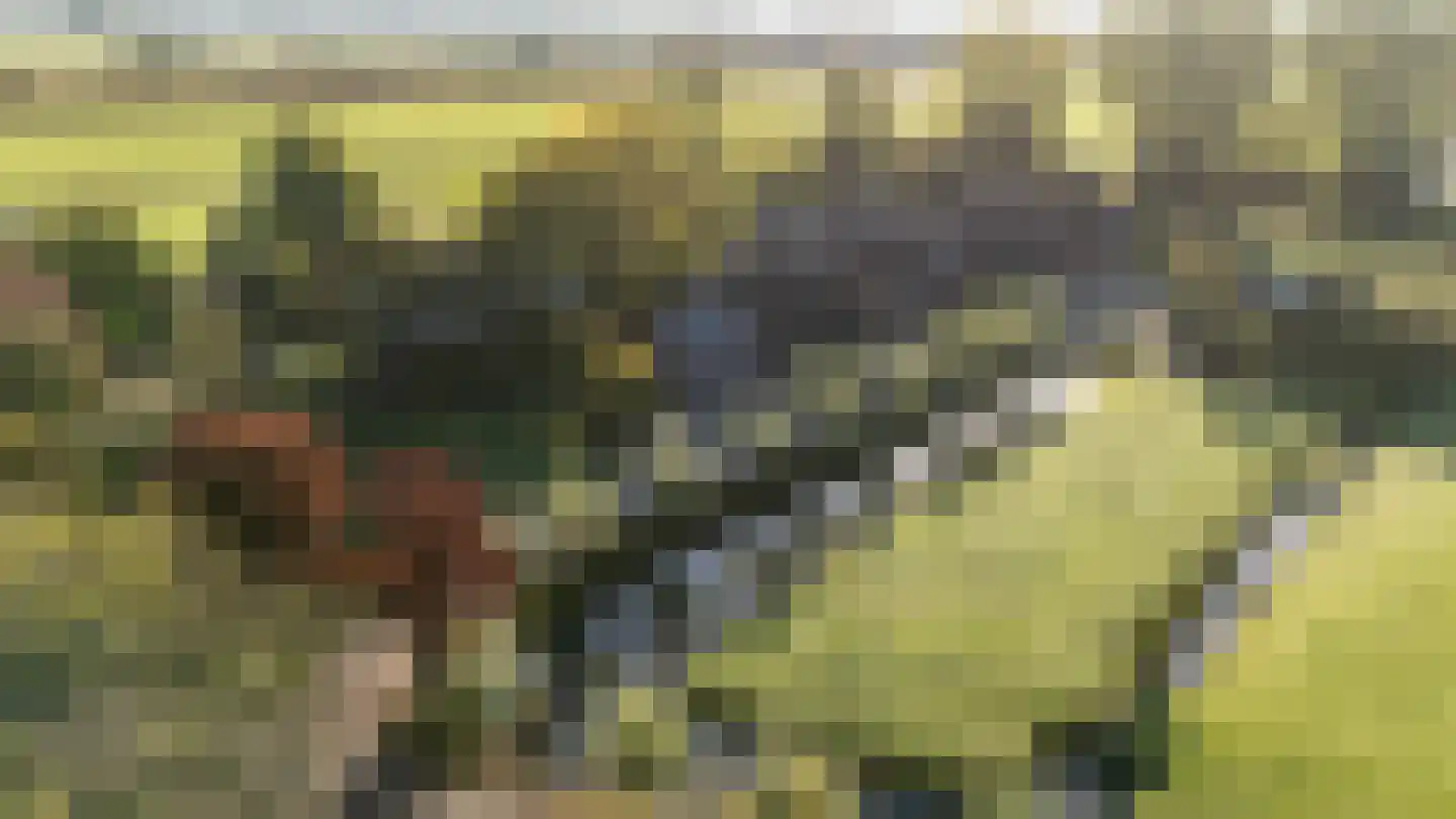 Breeveld 7 Woerden thumbnail 42