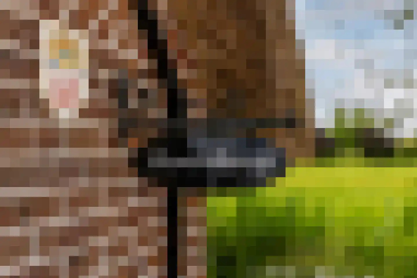 Breeveld 7 Woerden thumbnail 6