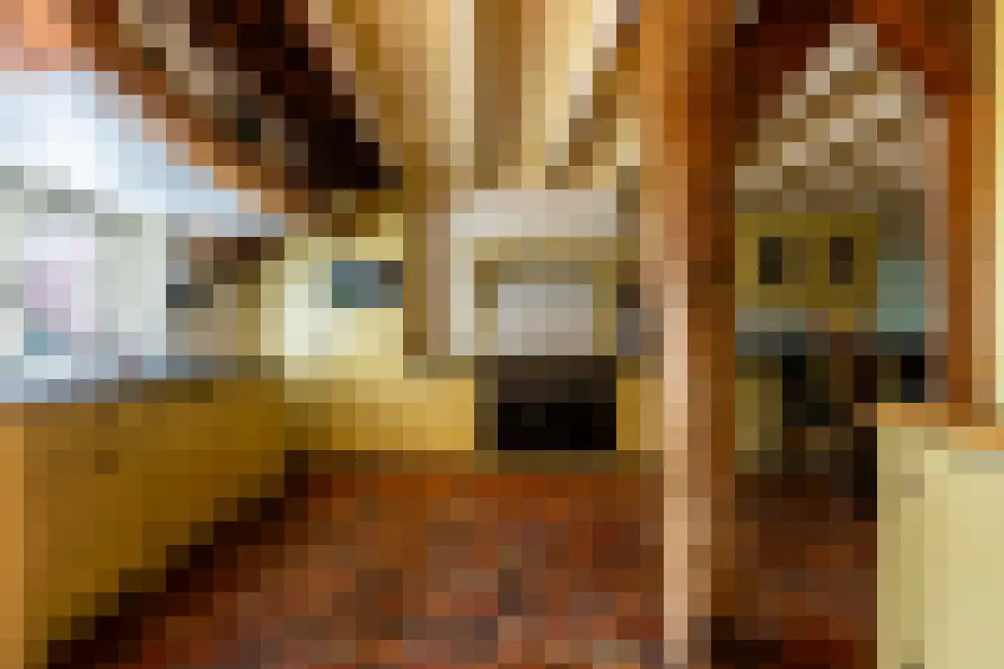 Breeveld 7 Woerden thumbnail 9