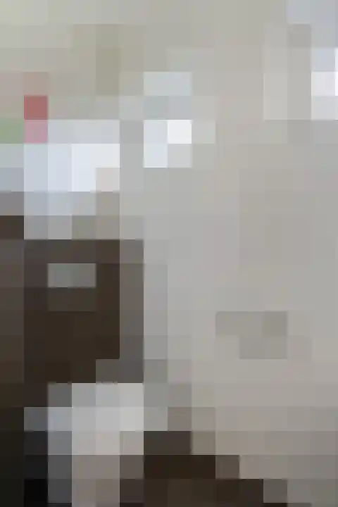 Breeven 19 Ell thumbnail 29