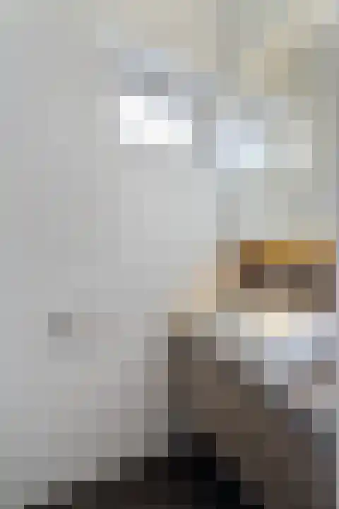 Breeven 19 Ell thumbnail 30