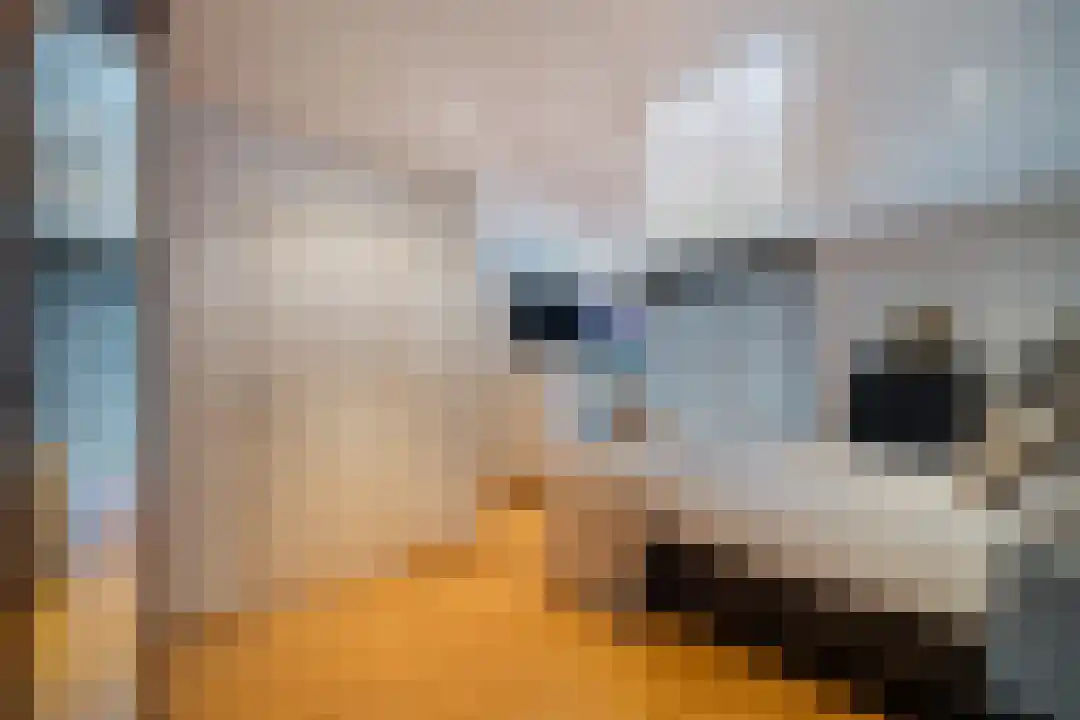 Breeven 19 Ell thumbnail 32